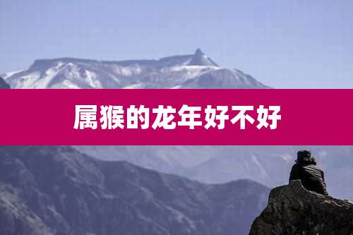 属猴的龙年好不好