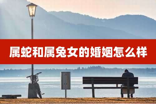 属蛇和属兔女的婚姻怎么样