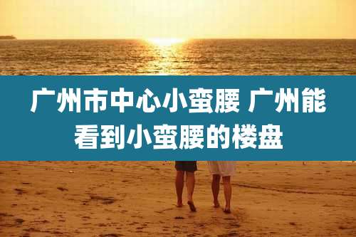 广州市中心小蛮腰 广州能看到小蛮腰的楼盘