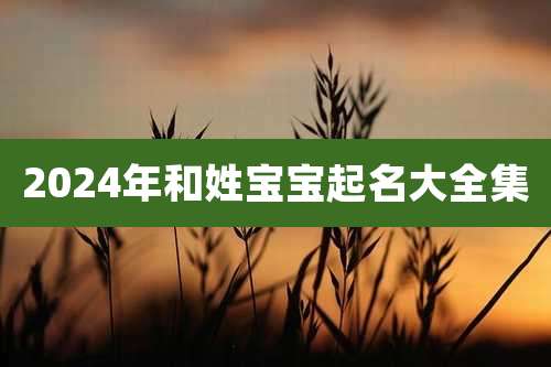 2024年和姓宝宝起名大全集