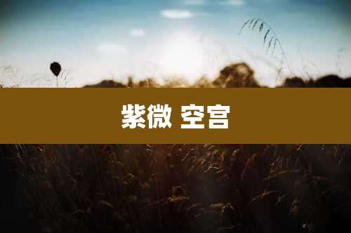 紫微 空宫