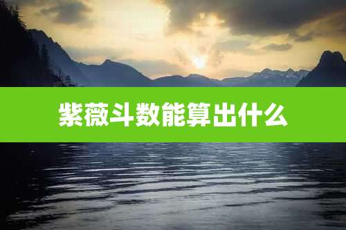 紫薇斗数能算出什么
