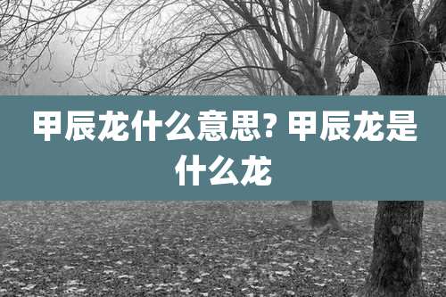 甲辰龙什么意思? 甲辰龙是什么龙