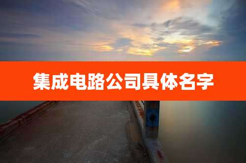 集成电路公司具体名字