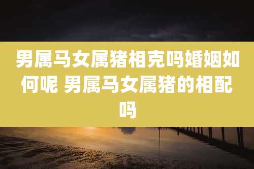 男属马女属猪相克吗婚姻如何呢 男属马女属猪的相配吗