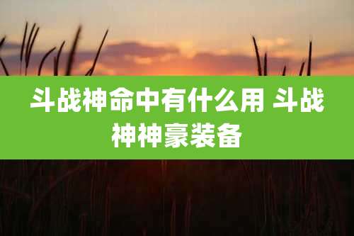 斗战神命中有什么用 斗战神神豪装备