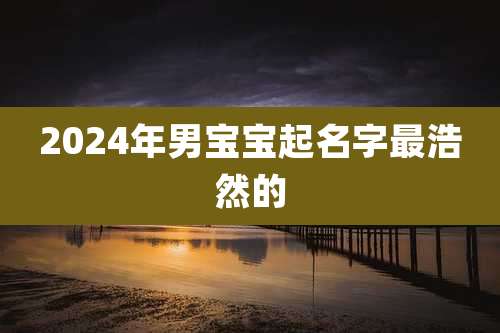 2024年男宝宝起名字最浩然的