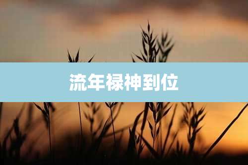 流年禄神到位