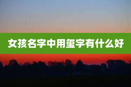 女孩名字中用玺字有什么好