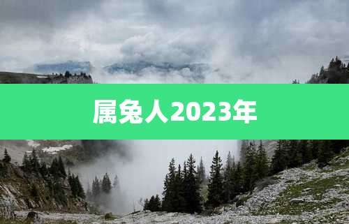 属兔人2023年