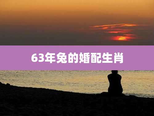 63年兔的婚配生肖