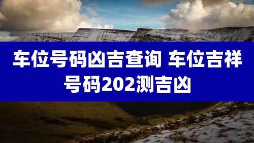 车位号码凶吉查询 车位吉祥号码202测吉凶