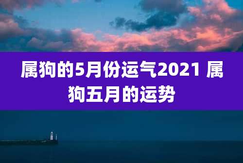 属狗的5月份运气2021 属狗五月的运势