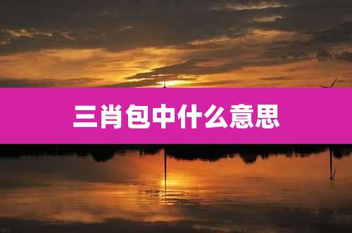 三肖包中什么意思