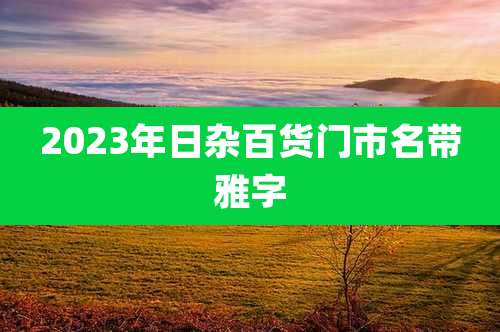 2023年日杂百货门市名带雅字