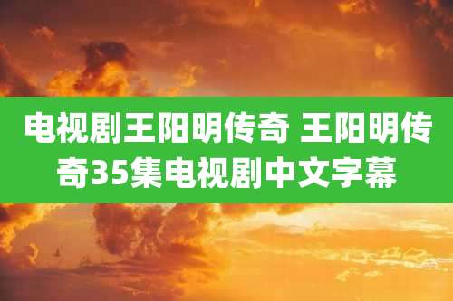 电视剧王阳明传奇 王阳明传奇35集电视剧中文字幕