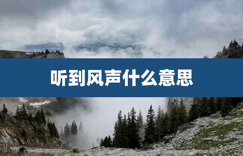 听到风声什么意思