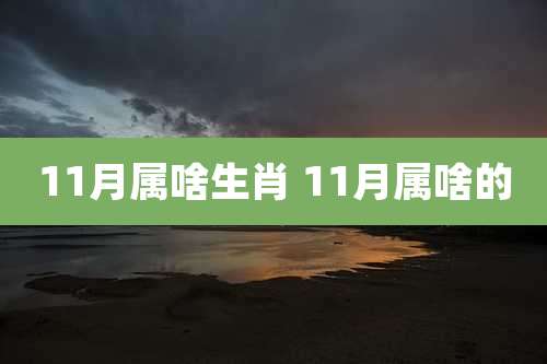 11月属啥生肖 11月属啥的