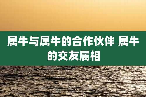 属牛与属牛的合作伙伴 属牛的交友属相