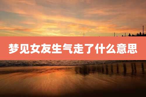 梦见女友生气走了什么意思