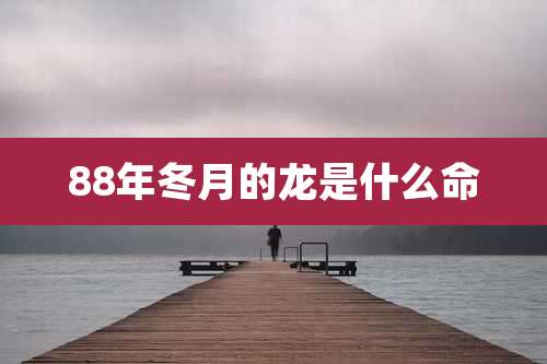 88年冬月的龙是什么命