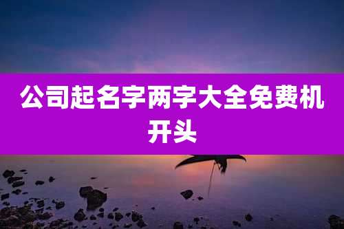 公司起名字两字大全免费机开头