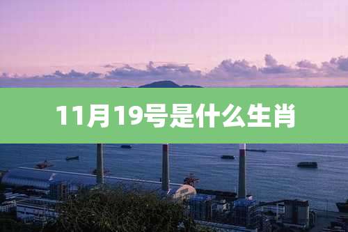 11月19号是什么生肖