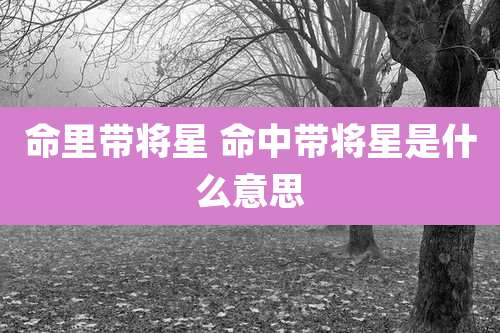 命里带将星 命中带将星是什么意思