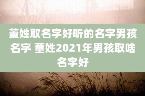 董姓取名字好听的名字男孩名字 董姓2021年男孩取啥名字好