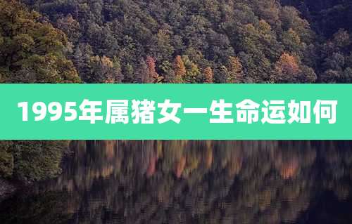 1995年属猪女一生命运如何