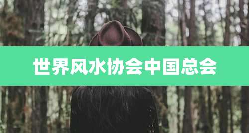 世界风水协会中国总会