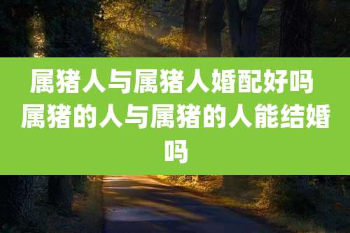 属猪人与属猪人婚配好吗 属猪的人与属猪的人能结婚吗