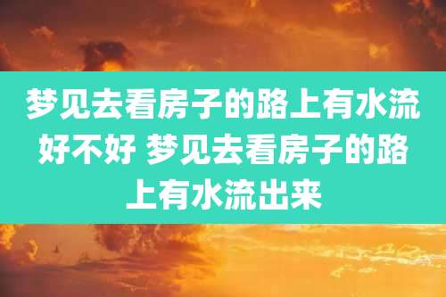梦见去看房子的路上有水流好不好 梦见去看房子的路上有水流出来