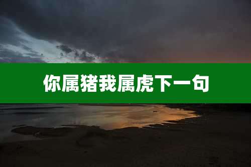 你属猪我属虎下一句