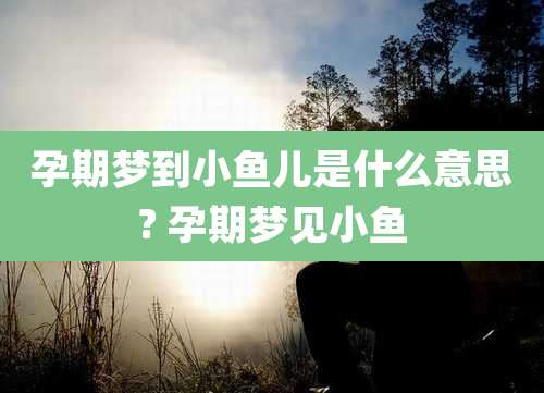 孕期梦到小鱼儿是什么意思? 孕期梦见小鱼