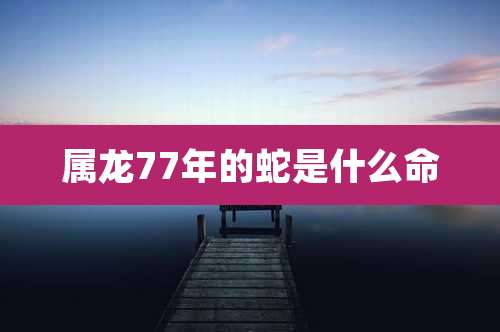 属龙77年的蛇是什么命