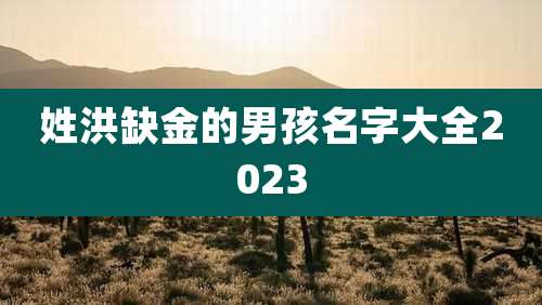 姓洪缺金的男孩名字大全2023