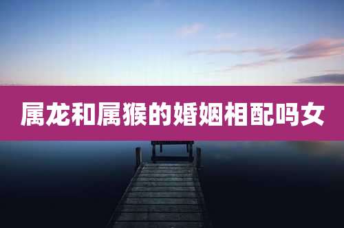 属龙和属猴的婚姻相配吗女