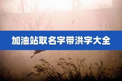 加油站取名字带洪字大全