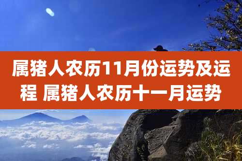 属猪人农历11月份运势及运程 属猪人农历十一月运势