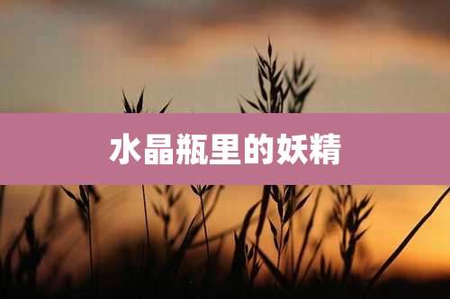 水晶瓶里的妖精