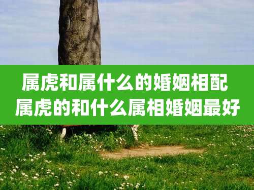 属虎和属什么的婚姻相配 属虎的和什么属相婚姻最好