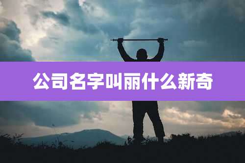公司名字叫丽什么新奇