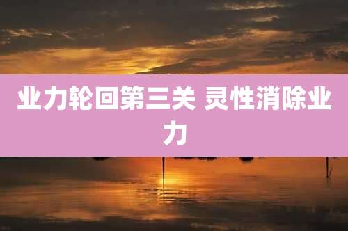 业力轮回第三关 灵性消除业力