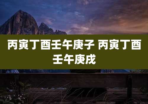 丙寅丁酉壬午庚子 丙寅丁酉壬午庚戌
