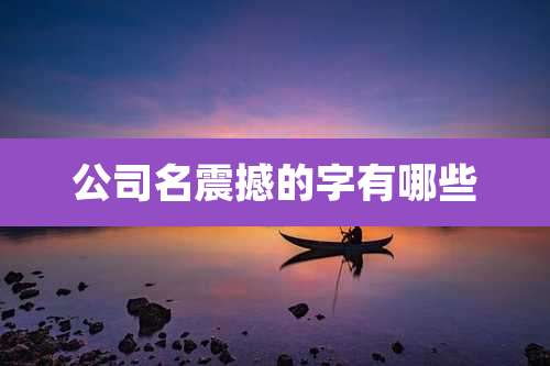 公司名震撼的字有哪些
