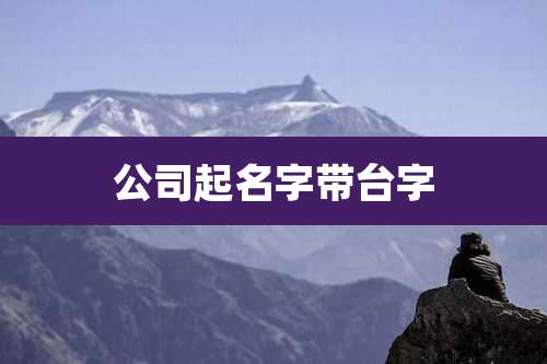 公司起名字带台字
