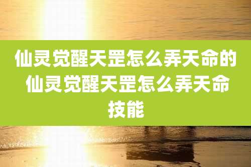 仙灵觉醒天罡怎么弄天命的 仙灵觉醒天罡怎么弄天命技能