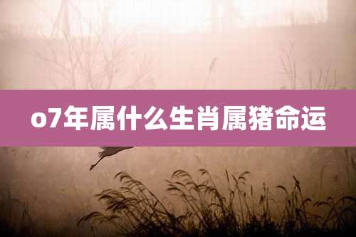 o7年属什么生肖属猪命运