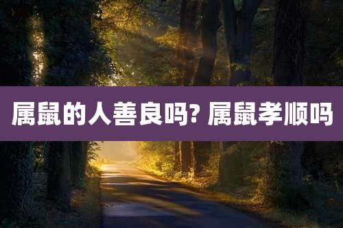 属鼠的人善良吗? 属鼠孝顺吗